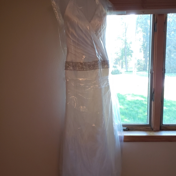 David's Bridal wedding gown - Picture 4 of 7